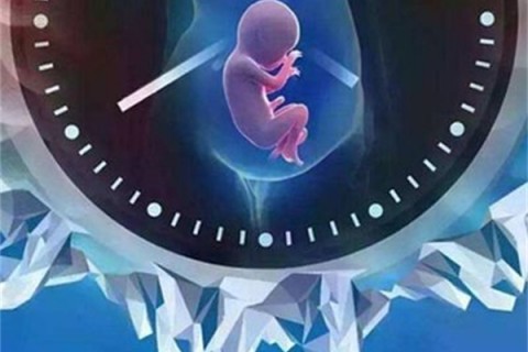http://wulumuqi.papirsys.com/post/201.html|乌鲁木齐捐卵案例